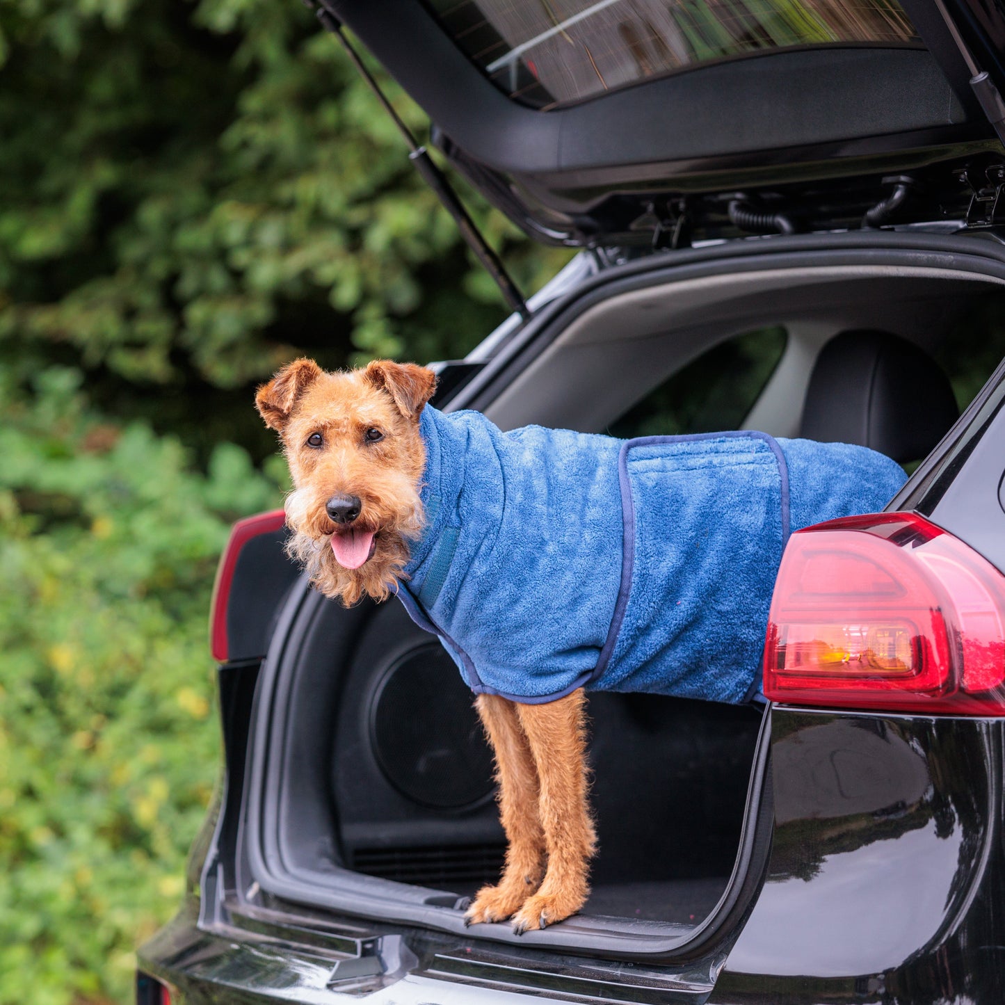 The Dog Drying Coat