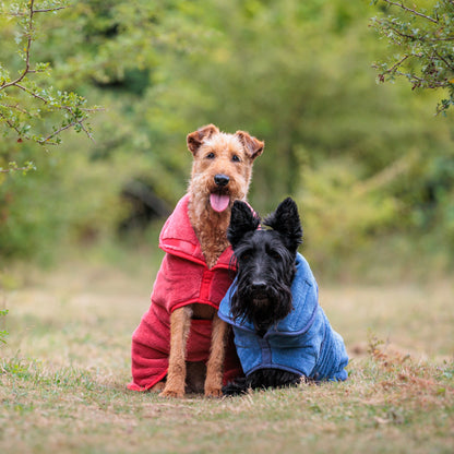 The Dog Drying Coat