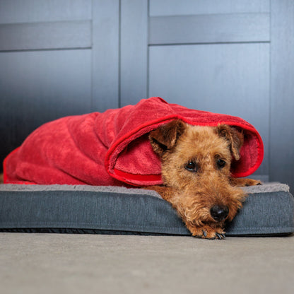 The Dog Drying Coat